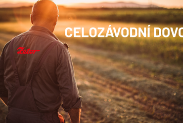 Letní dovolená
